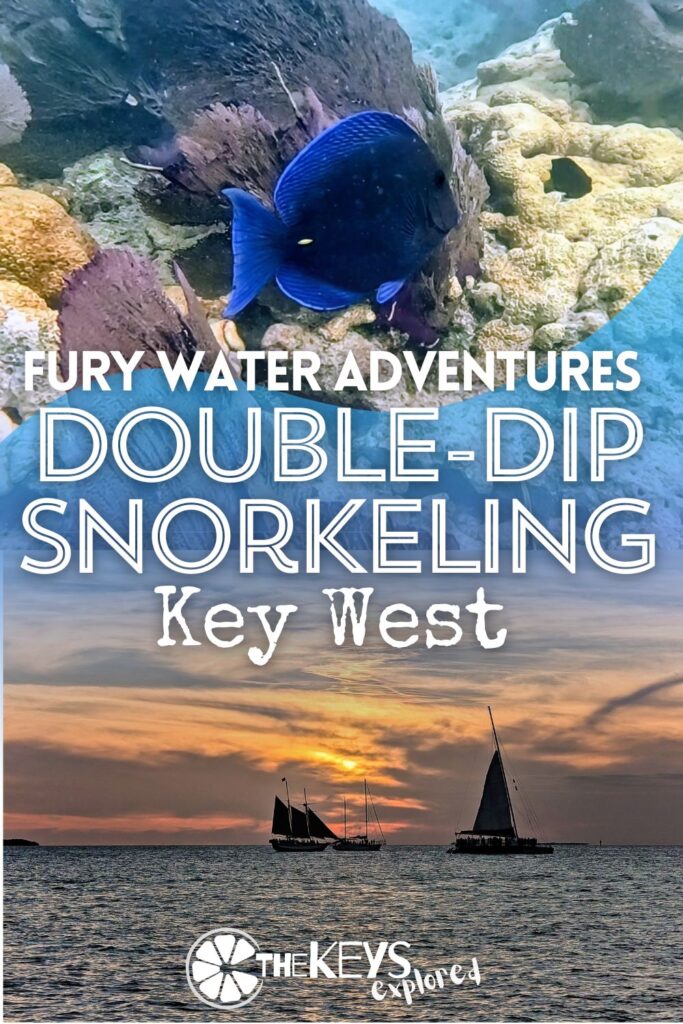 The Double Dip Snorkel tour with Fury Water Adventures in Key West is a great way to maximize your time exploring the reefs off Key West. With two stops, see what makes this particular catamaran snorkeling tour such a good trip with teens or intermediate snorkelers.