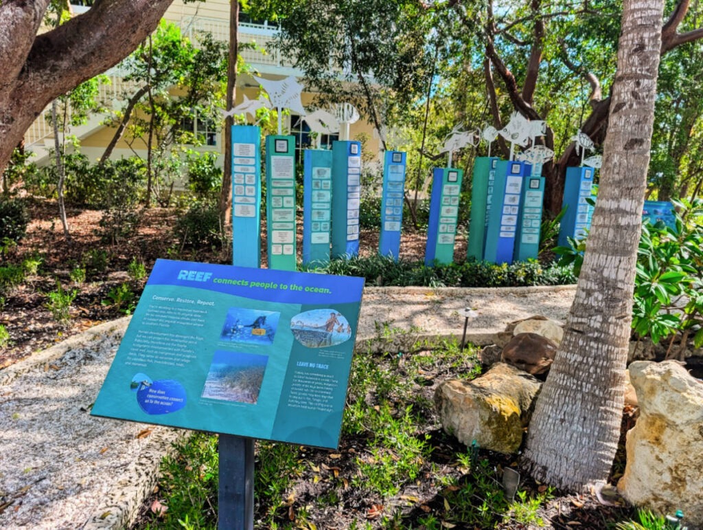 Garden at REEF Ocean Exploration Center Key Largo Florida Keys 2