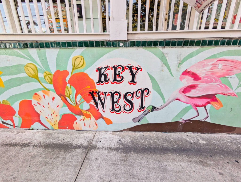 Roseate Spoonbill Mural in historic district Key West Florida Keys 3