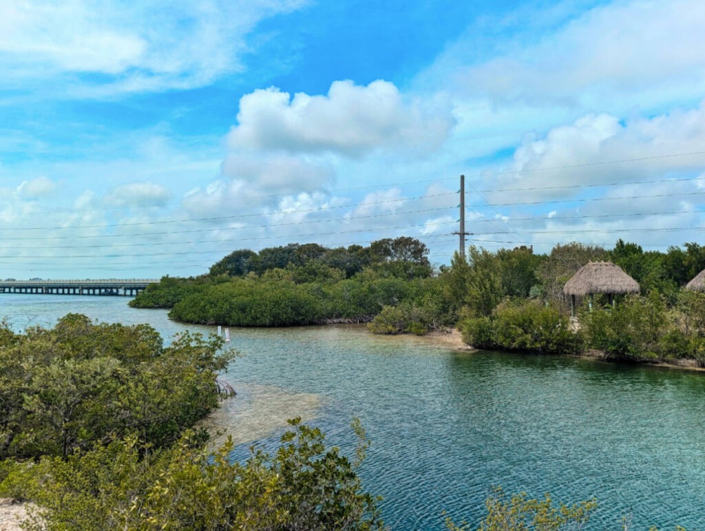 Snorkeling Lagoon at Pine Channel Nature Park Big Pine Key Lower Florida Keys 2