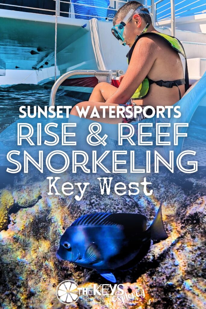 For the best chances for the most clear water, we like to do a morning snorkeling tour from Key West. The Sunset Watersports Rise and Reef snorkel trip leaves before the winds of the day pick up and before it's too hot, making it a great Florida Keys snorkeling experience on a catamaran.