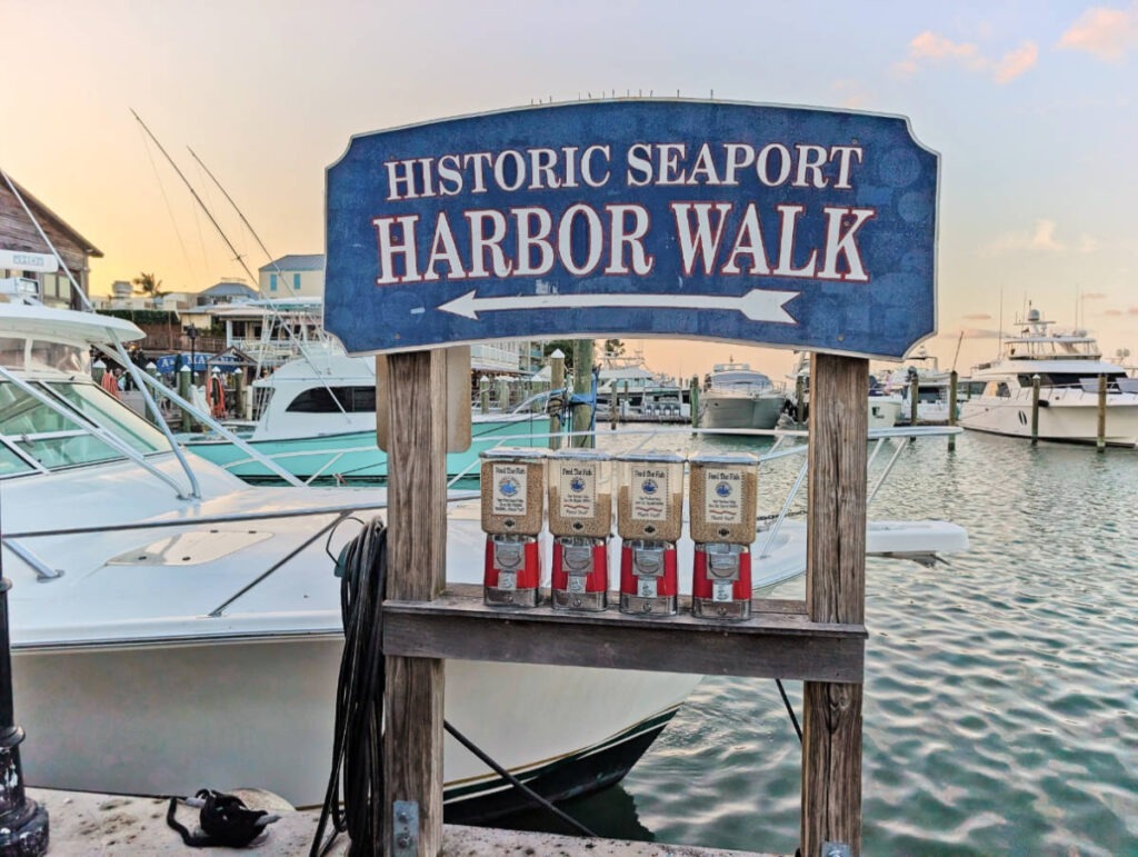 Tarpon Feeding in Harbor Walk in HIstoric Seaport Key West Florida Keys 1
