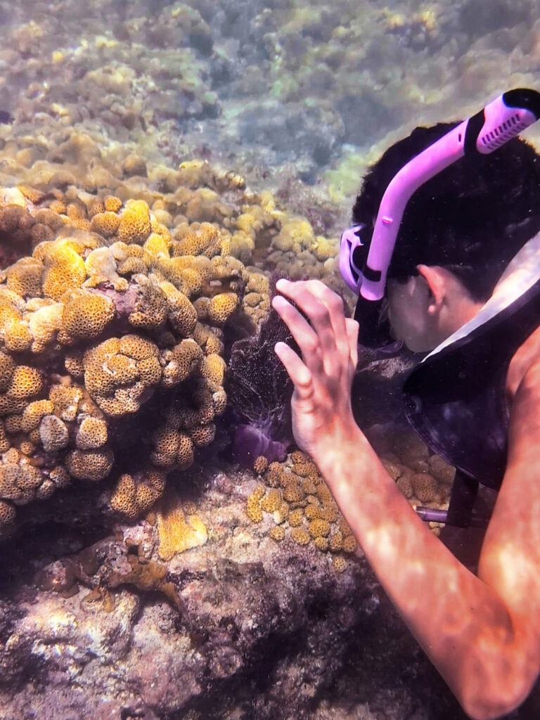 Taylor Family Snorkeling at Dry Rocks with Sunset Watersports Key West Florida Keys 1