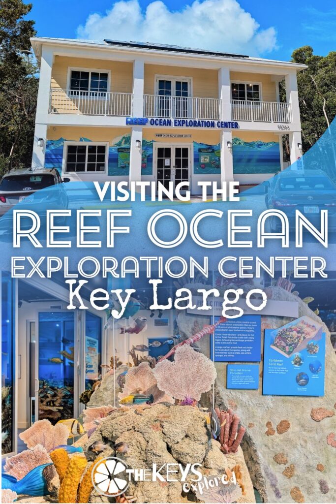 Mixing education, conservation and fun the REEF Ocean Exploration Center is a must-visit to make your snorkeling trips in the Keys a little more interesting and meaningful. With exhibits about the fish, including an incredible reef model, and lots of easy to understand info, REEF helps exploring underwater make sense.