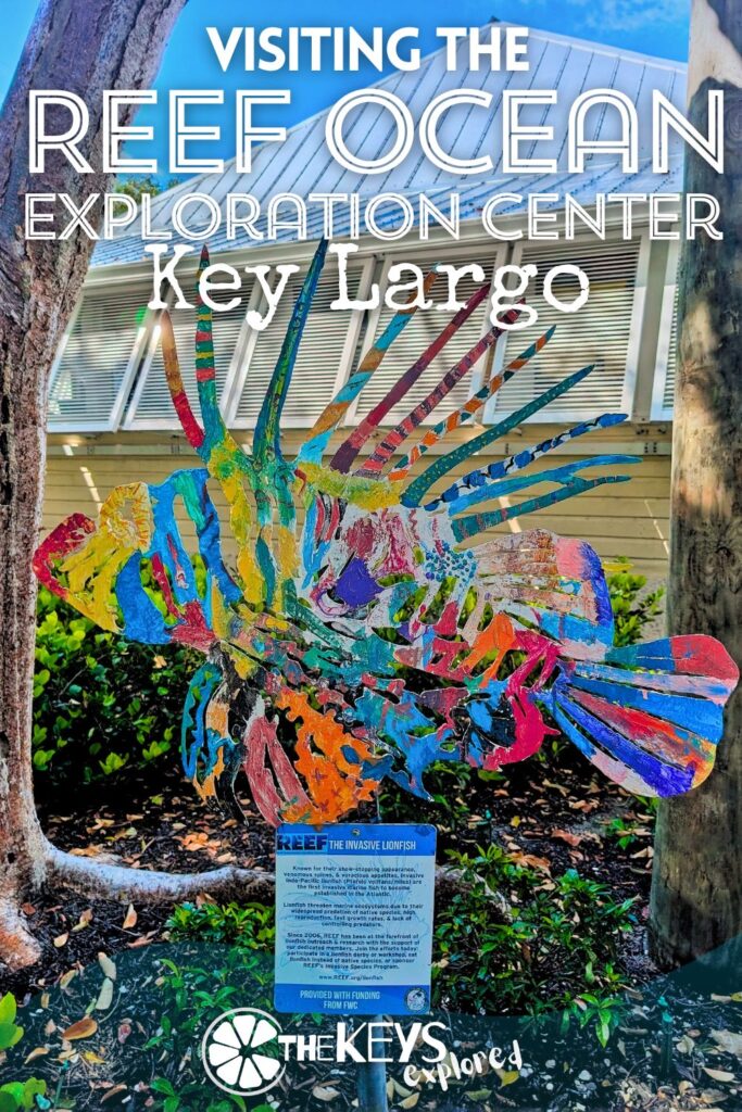 Mixing education, conservation and fun the REEF Ocean Exploration Center is a must-visit to make your snorkeling trips in the Keys a little more interesting and meaningful. With exhibits about the fish, including an incredible reef model, and lots of easy to understand info, REEF helps exploring underwater make sense.