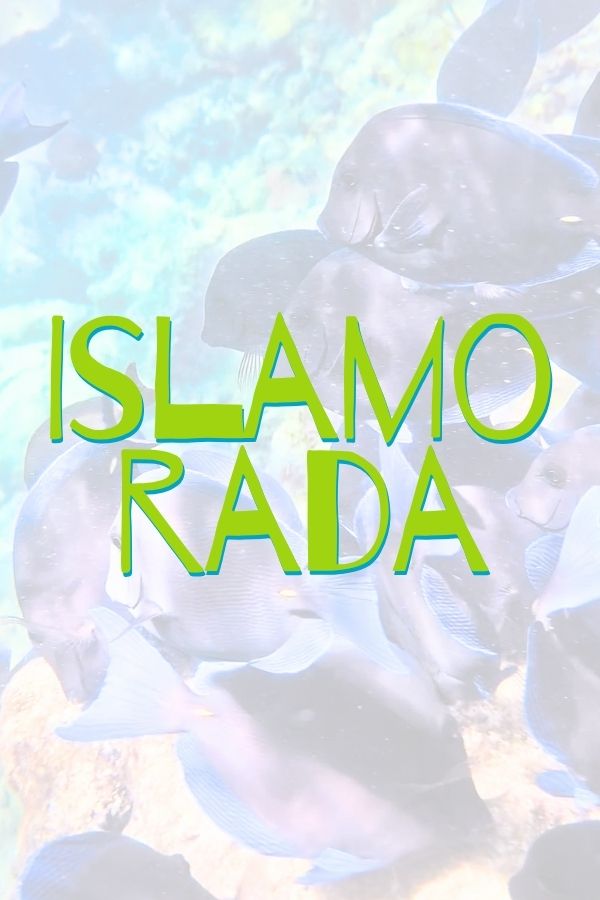 Islamorada Button