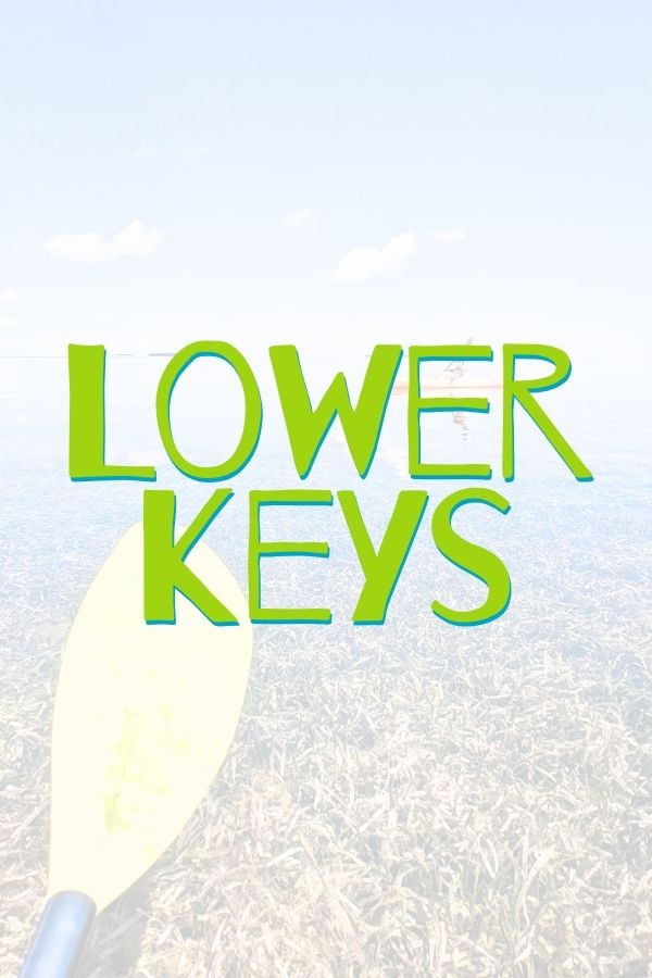 Lower Keys Button