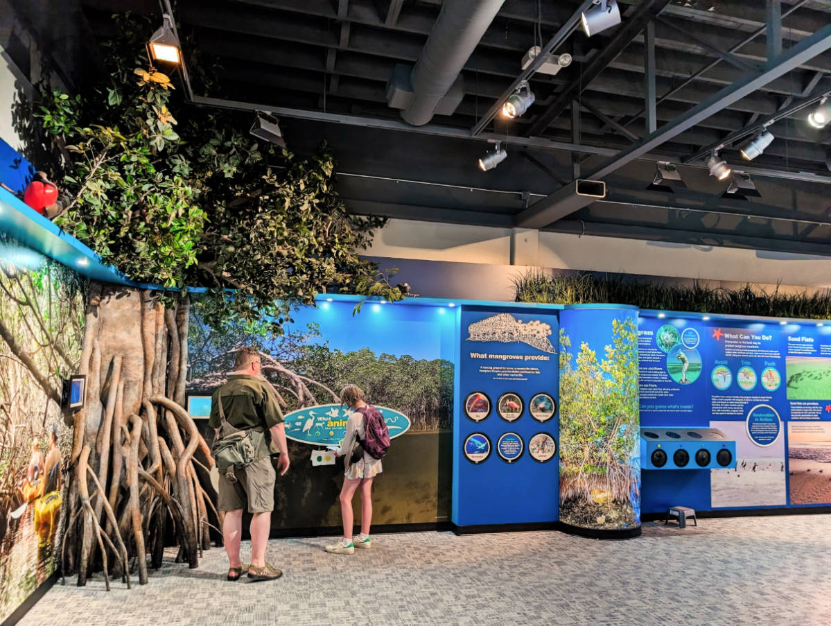 Mangrove Exhibit at Florida Keys Eco Discovery Center Key West