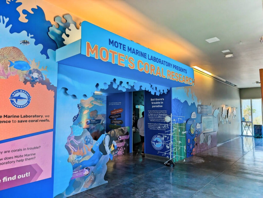 Mote Marine Lab exhibit at Florida Keys Eco Discovery Center Key West