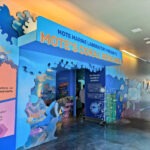 Mote Marine Lab exhibit at Florida Keys Eco Discovery Center Key West