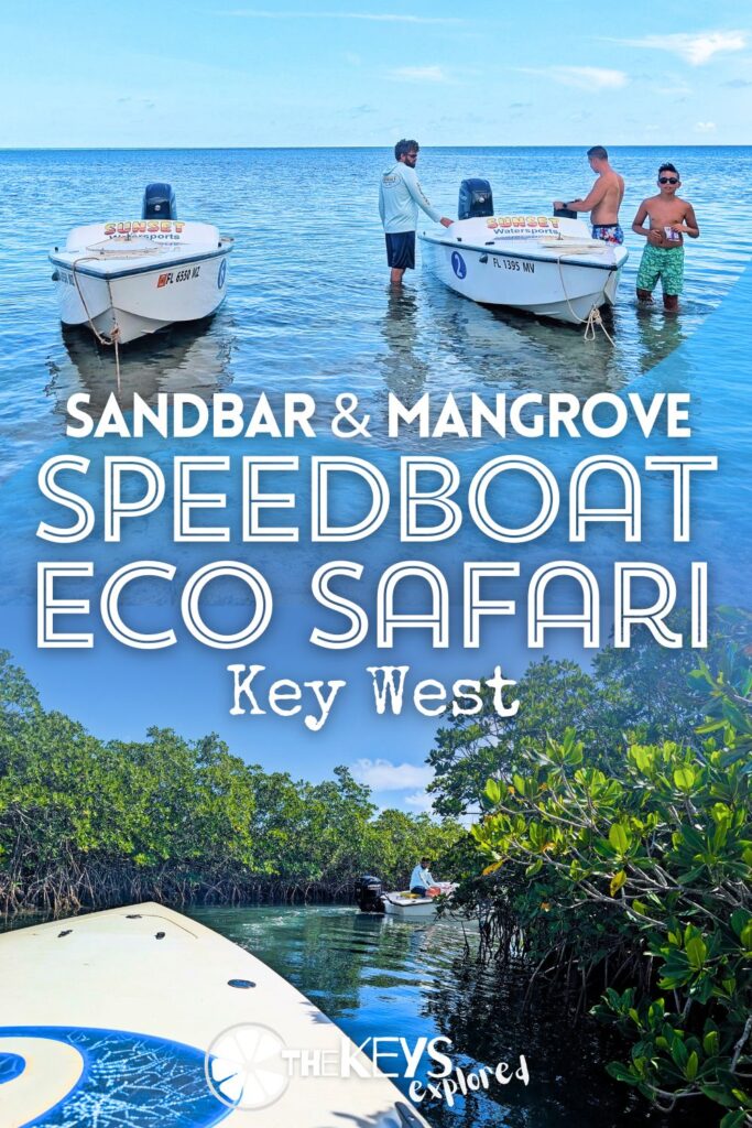The speedboat eco safari from Key West out into the sandbars and mangroves is such a cool tour. This is a great activity with kids, especially teens and it's a very unique way to experience the nature and fun of the Florida Keys.