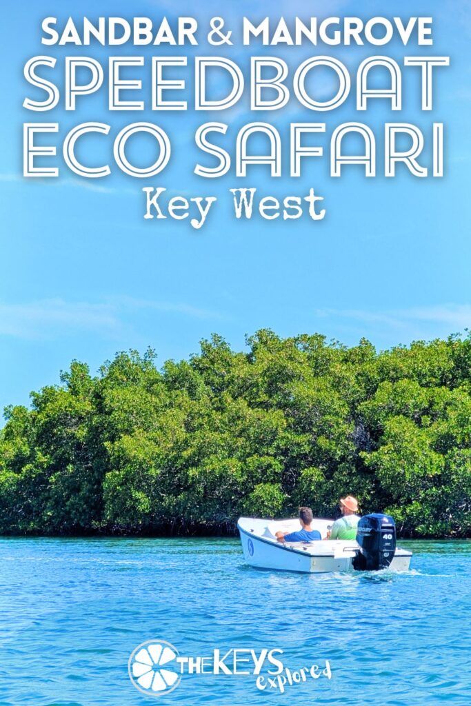 The speedboat eco safari from Key West out into the sandbars and mangroves is such a cool tour. This is a great activity with kids, especially teens and it's a very unique way to experience the nature and fun of the Florida Keys.