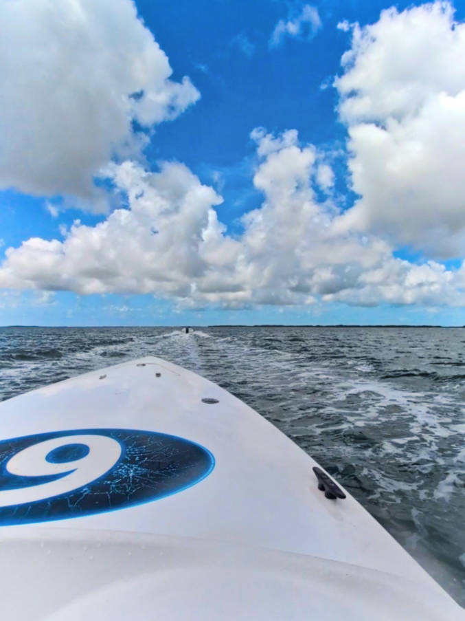 Speed Boat Safari Eco Tour with Sunset Watersports Key West Florida Keys