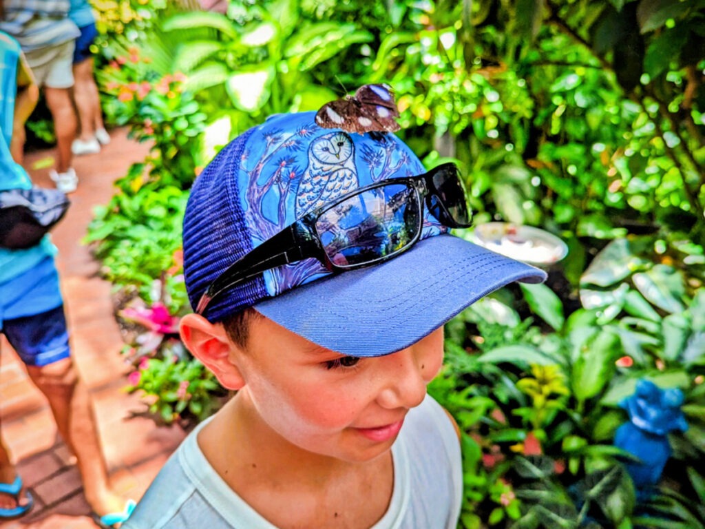 Taylor Family at Key West Butterfly and Nature Conservatory Florida Keys