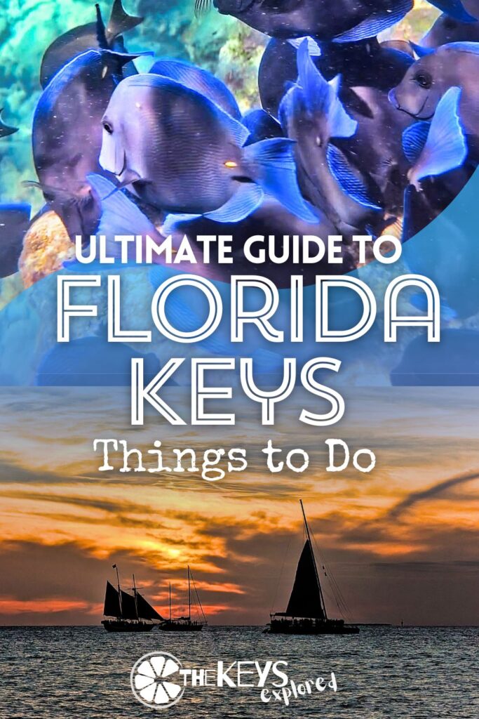 The Florida Keys are LOADED with things to do on the water and in the towns. These recommendation cover everything from Key Largo to Key West and the quiet Keys in between. Whether it's snorkeling or history tours, we've got suggestions for activities all through the Florida Keys.