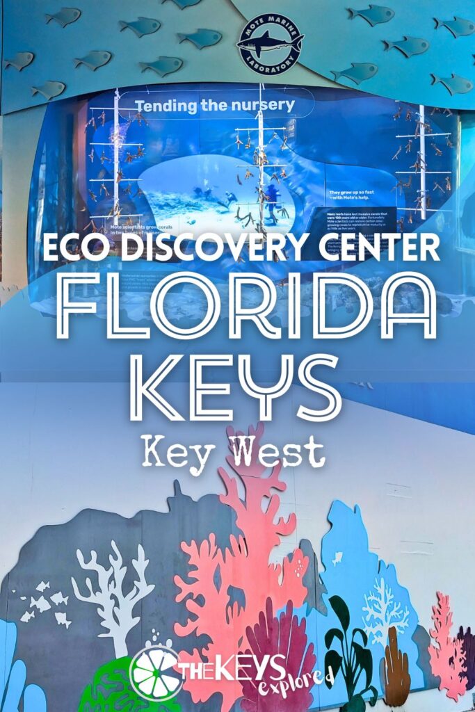 The Florida Keys Eco Discovery Center run by NOAA is a great spot to visit to learn about the Marine Sanctuary and the conservation programs happening to take care of the waters of the Keys. This free museum/science center is good for both kids and adults and I recommend a visit before heading out for snorkeling around the Keys.