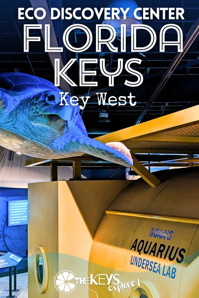 The Florida Keys Eco Discovery Center run by NOAA is a great spot to visit to learn about the Marine Sanctuary and the conservation programs happening to take care of the waters of the Keys. This free museum/science center is good for both kids and adults and I recommend a visit before heading out for snorkeling around the Keys.