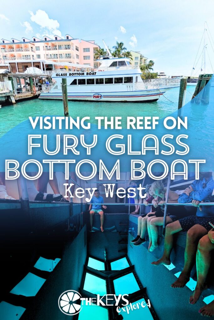 The Fury Glass Bottom Boat is a Key West staple, going out to the reef several times a day to show visitors the beautiful wildlife of the Florida Keys. We've got all the information for you to plan this fun, easy boat tour when you visit the Keys.