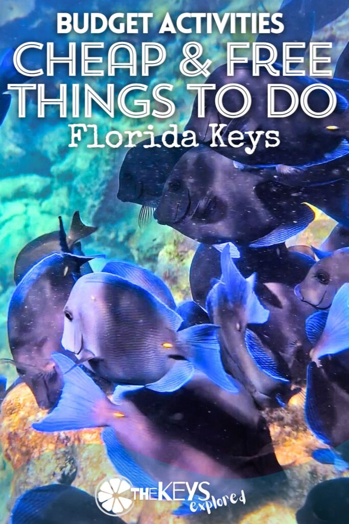 We all want to stay within our vacation budget. If you are looking for inexpensive activities in the Florida Keys to enjoy, here you'll find suggestions of free and cheap things to do, State Parks and activities that are fun and within a budget.