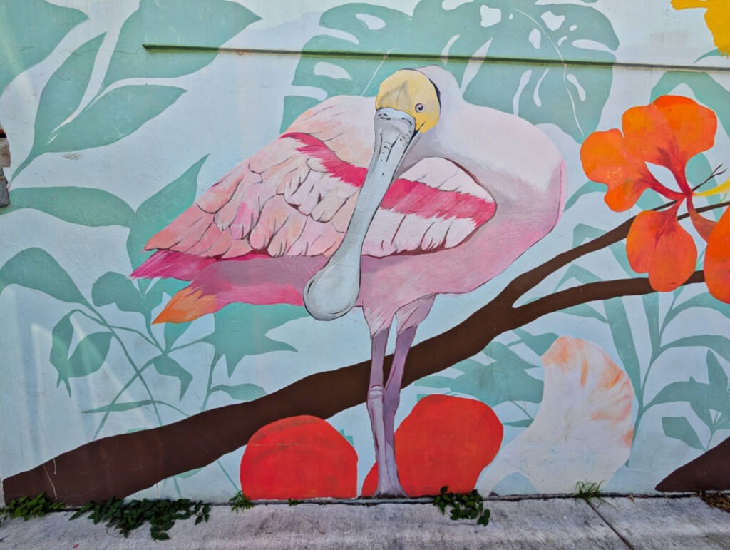 Roseate Spoonbill Mural in historic district Key West Florida Keys