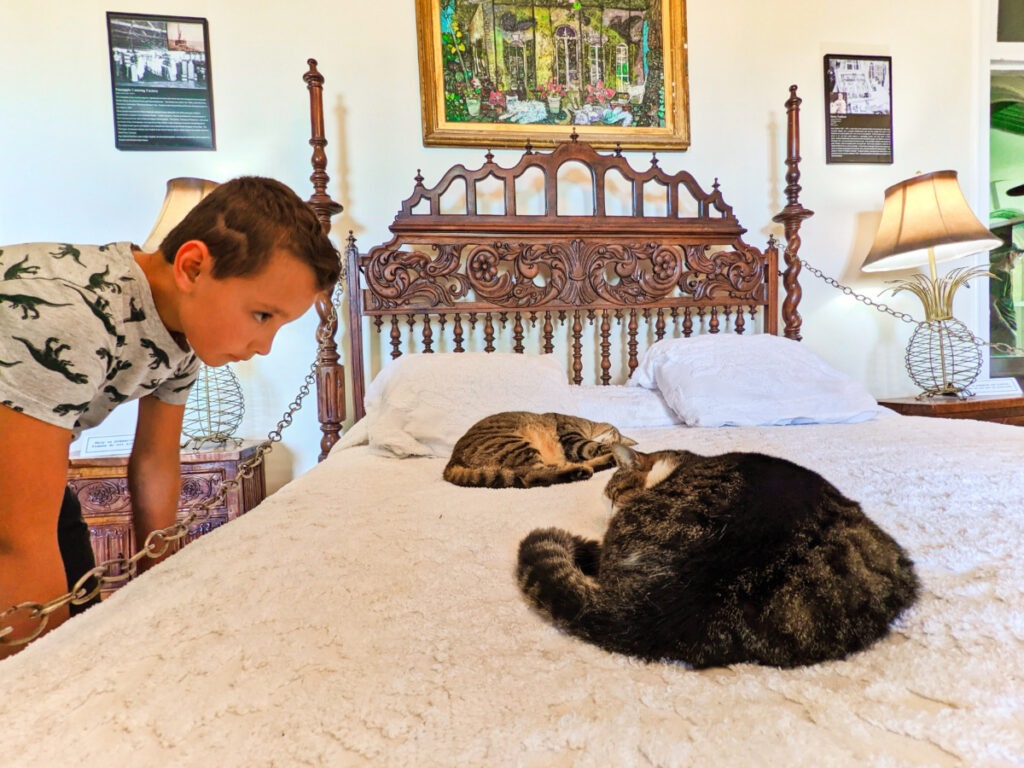 Taylor Family with Cats at Hemmingway House Key West Florida Keys